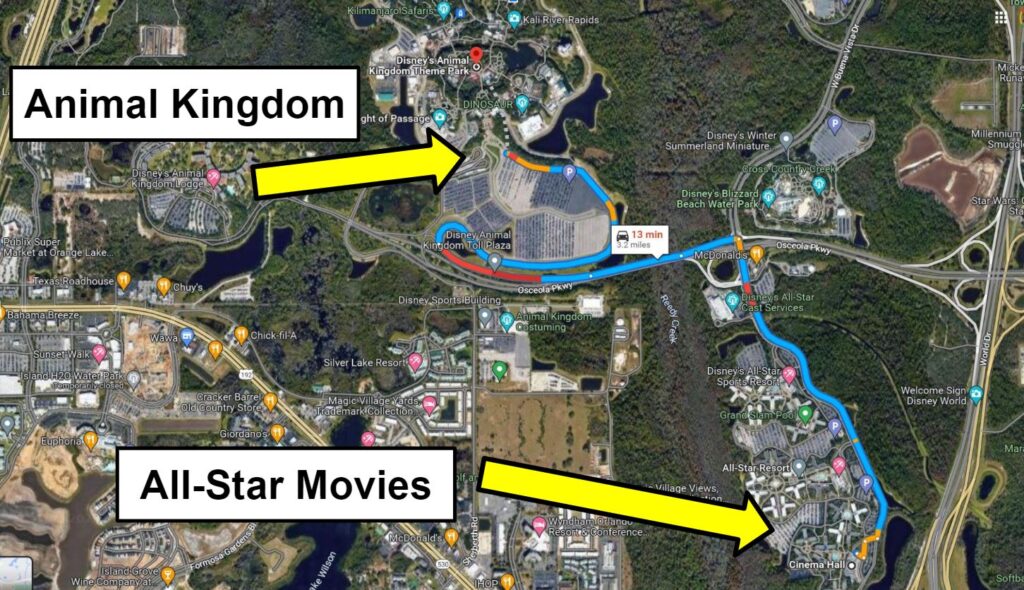 all star movies to animal kingdom