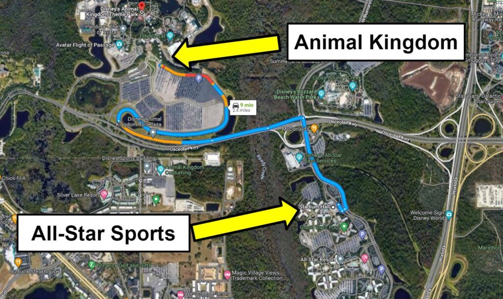 all star sports to animal kingdom