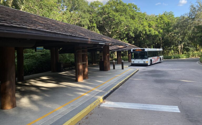 bus stop animal kingdom lodge (2)