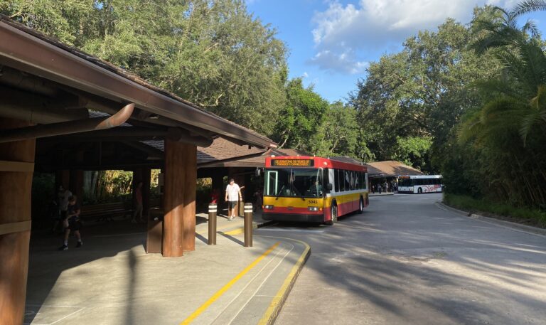 bus stop animal kingdom lodge