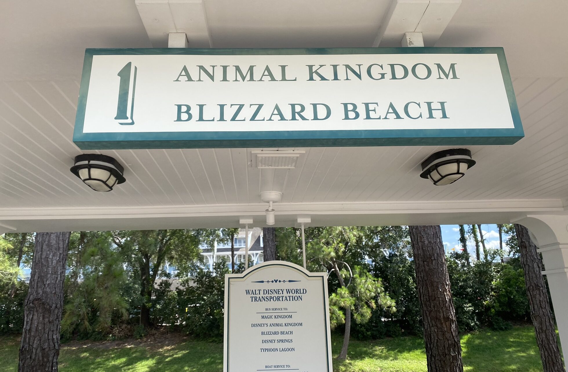 beach club bus sign animal kingdom