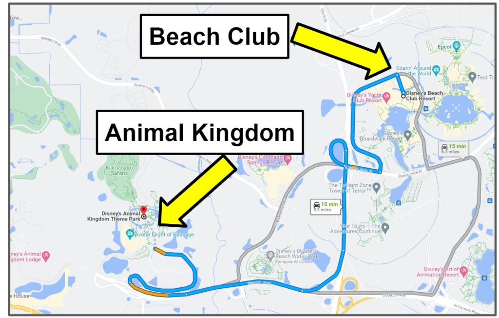 beach club to animal kingdom