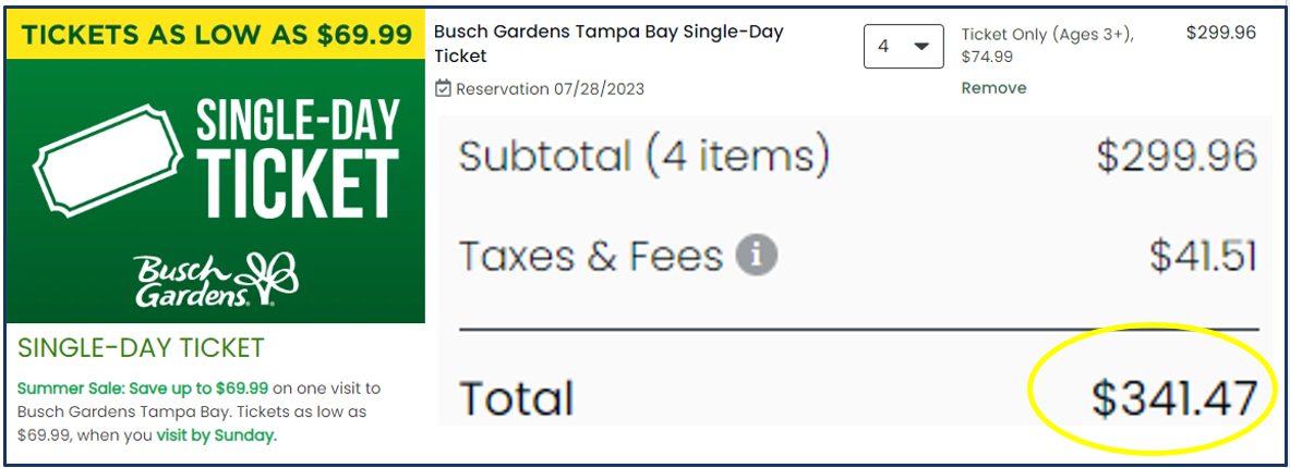 2023 Busch Gardens Tampa Bay Admission Ticket