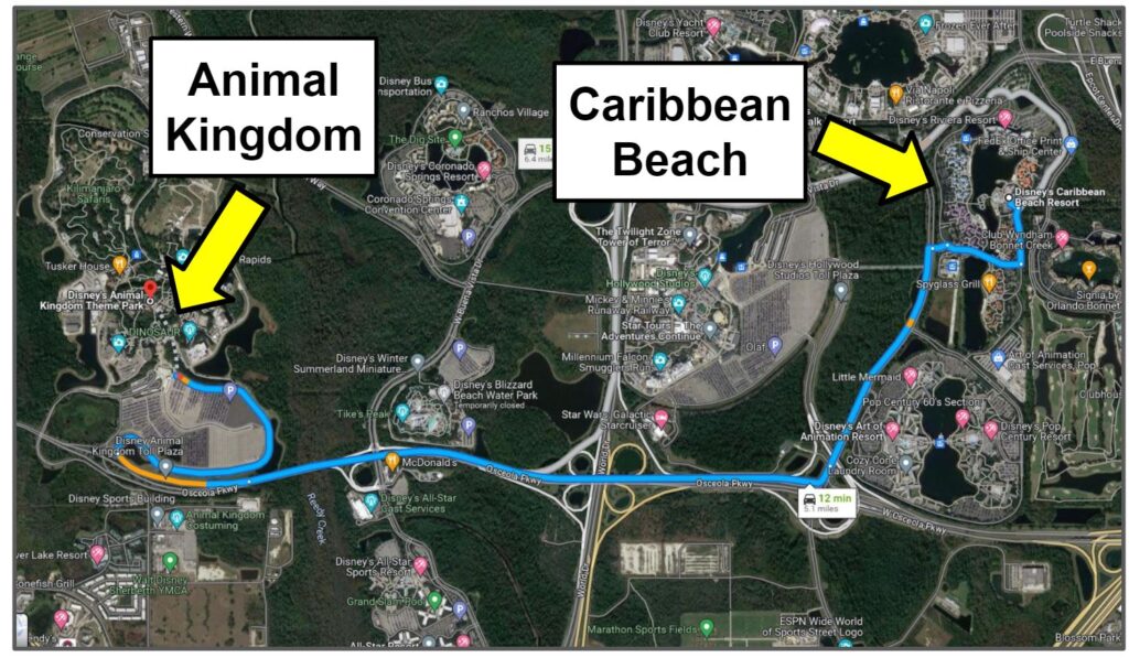 Caribbean Beach to Animal Kingdom