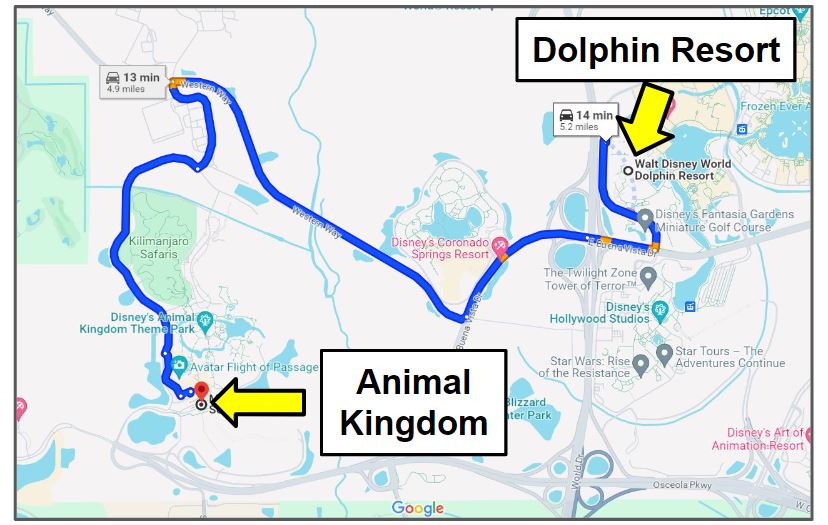 dolphin resort to animal kingdom driving yourself