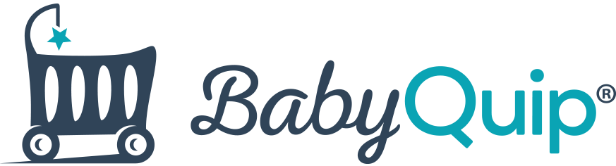 Disneyland Stroller Rental Company - BabyQuip