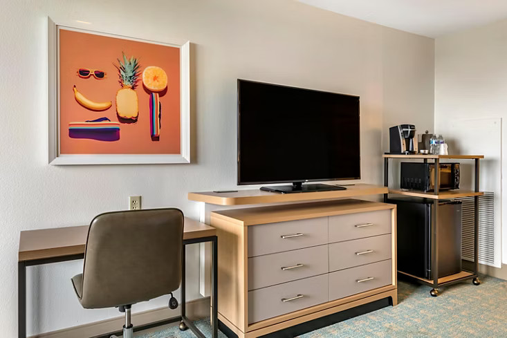 Holiday Inn Orlando-Disney Springs® Area - Television