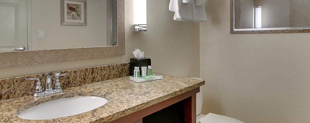 Holiday Inn Resort Orlando Lake Buena Vista - Bathroom