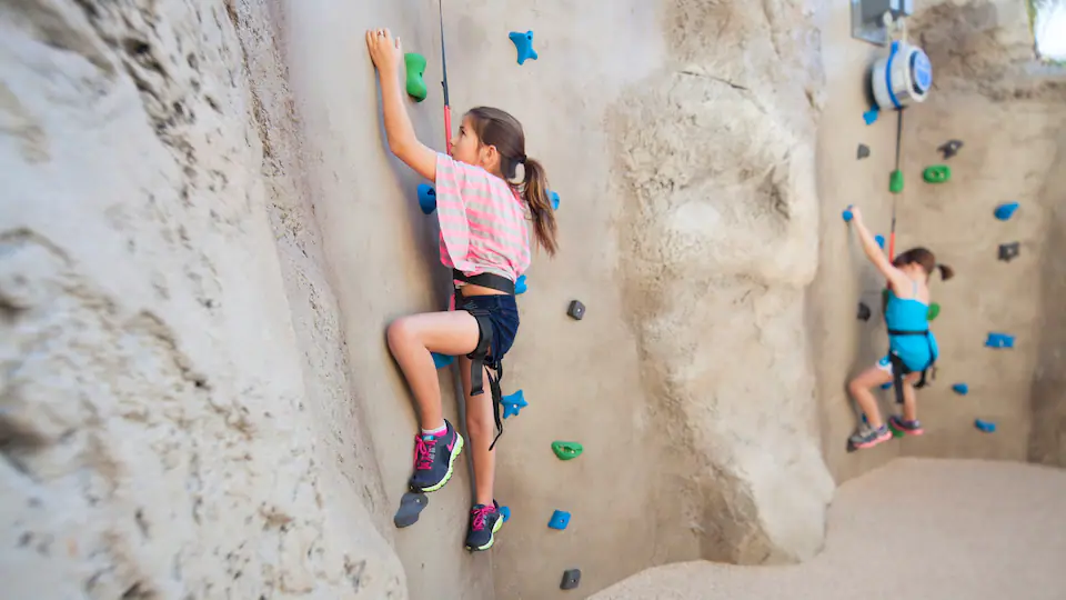 VISTA-P255-Kids-Rock-Climbing-Wall.16x9